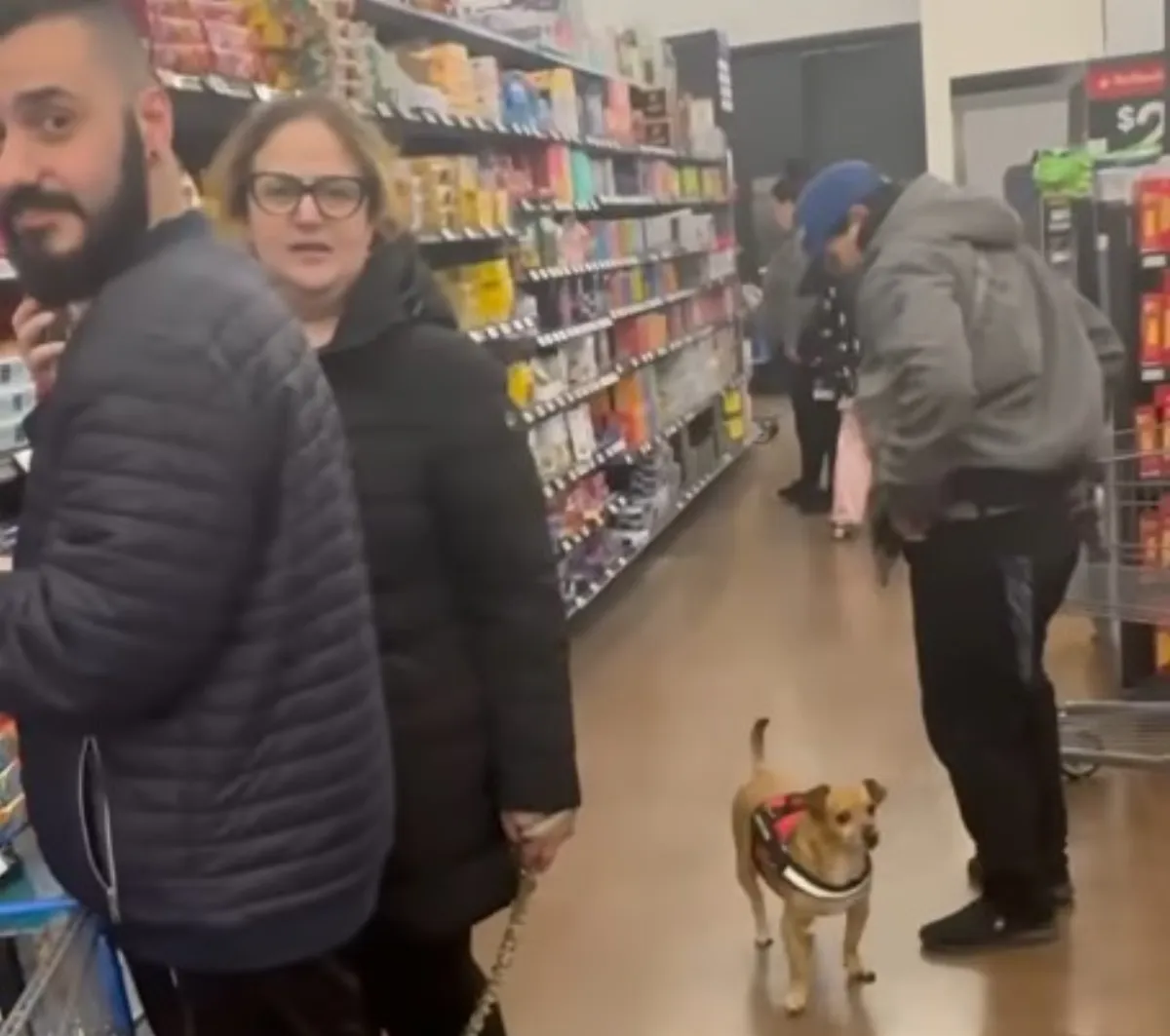 帶狗逛超市被偷拍怒瞪  下一秒劇情翻轉